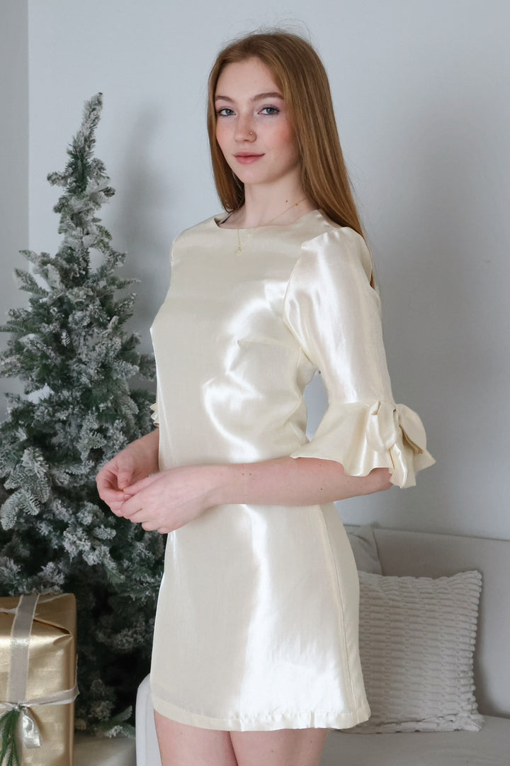 Winter Frost Mini Dress (final sale)