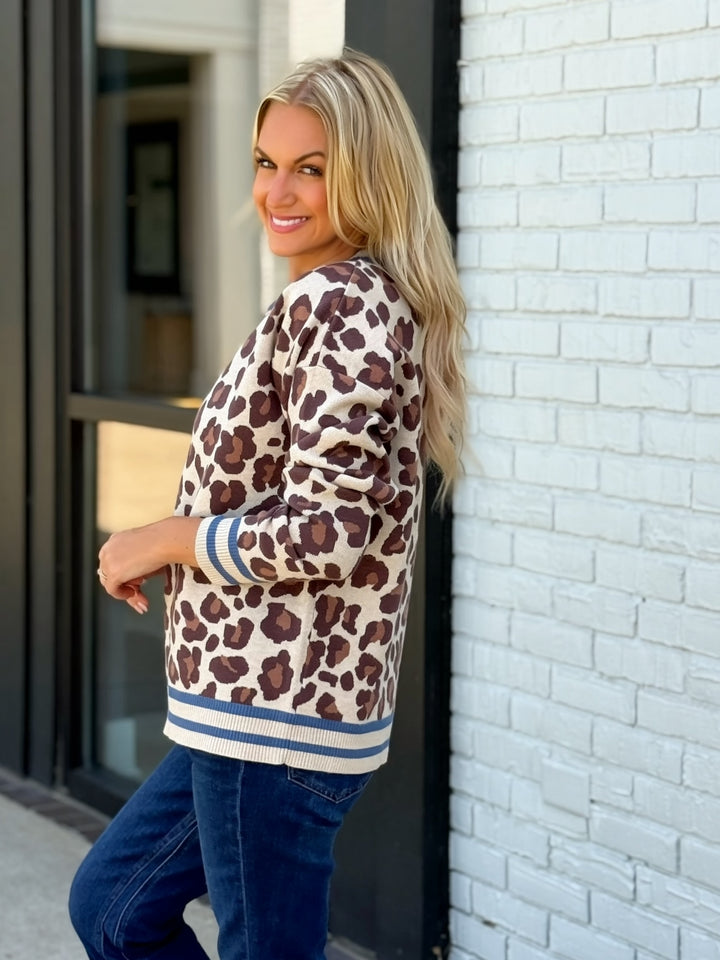 Blue Cat Sweater