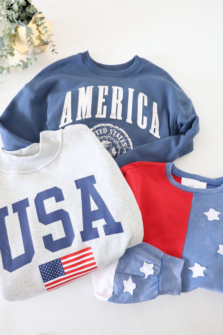 Reversible USA/America Sweatshirt