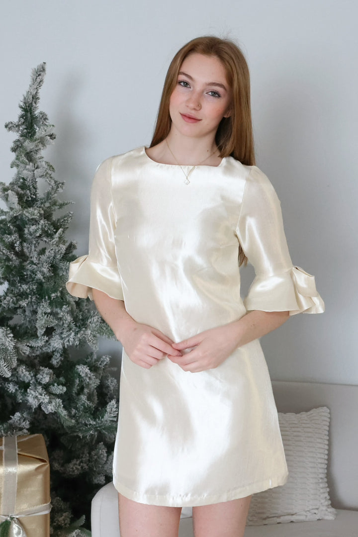 Winter Frost Mini Dress (final sale)